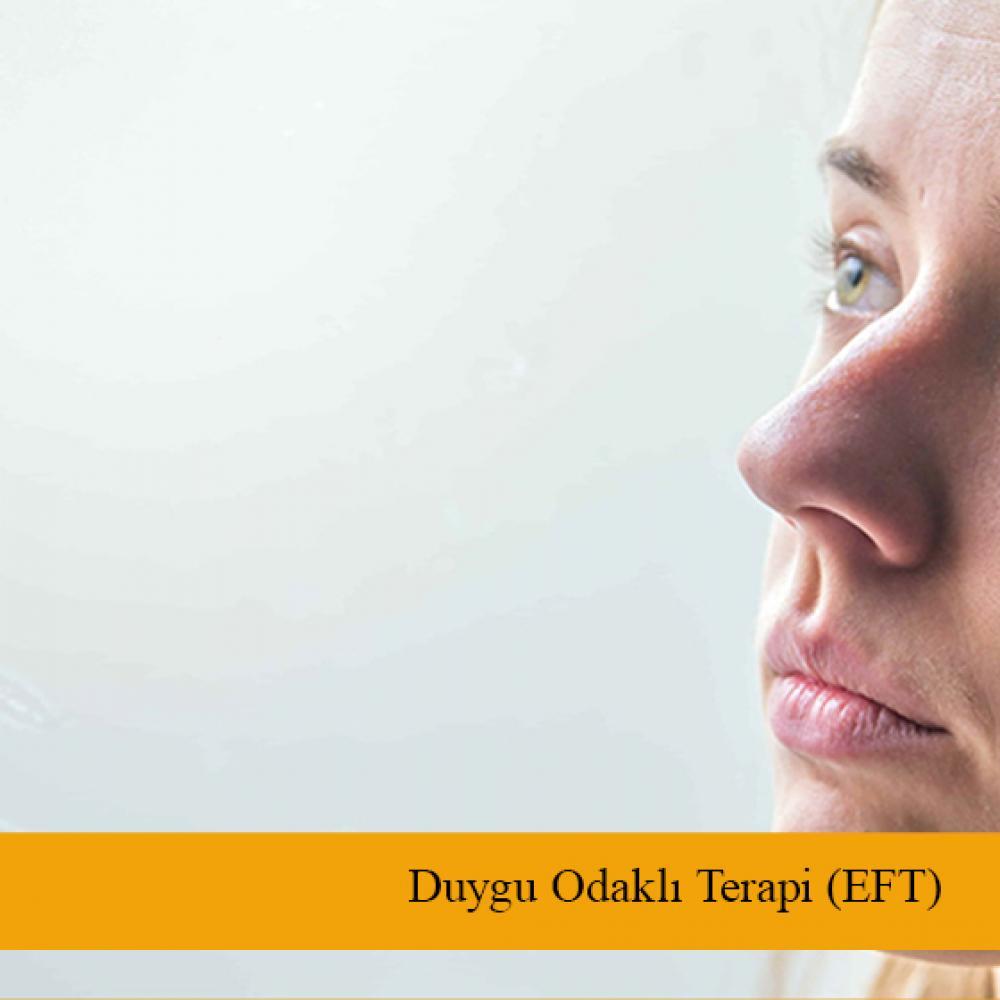 Duygu Odaklı Terapi Nedir?